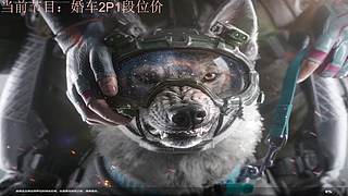 【非常互娱】进来吃客诉了喂