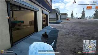 随便娱乐玩玩 12871095