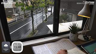 重生之奋发涂墙