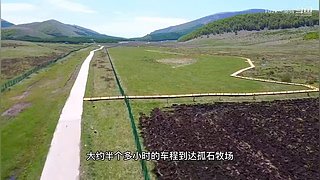 求关注   每天都会更新视频