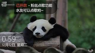 南风旧人10075062
