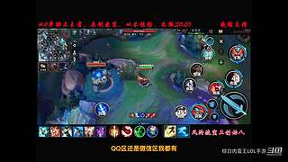 上海公寓毛董事