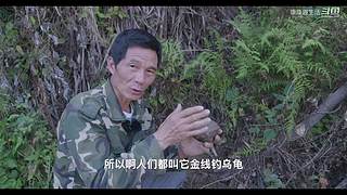 娱乐大于一切 10440627