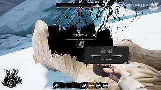 全网最强没有之一 10606940