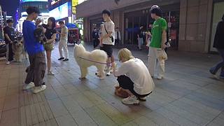 【第一视角】街拍