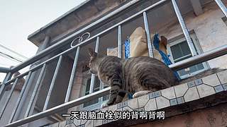 大齐赶海，又是出大货的一天