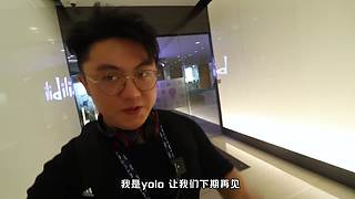玩纸牌的yolo