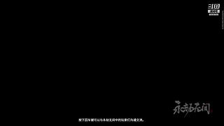 阿度国洛洛公主游塔记