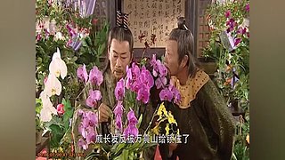《武侠剧》