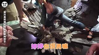 鐵牛杰哥的直播间