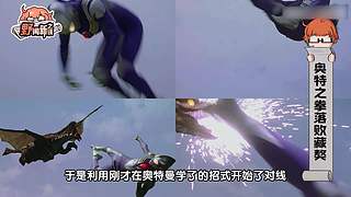 【野灿baka】一起追番