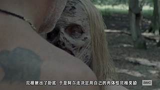 长工带你一起来追剧