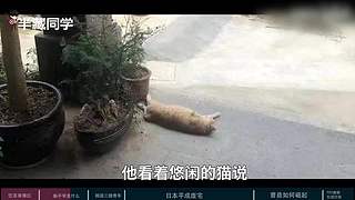 半藏科普直播间