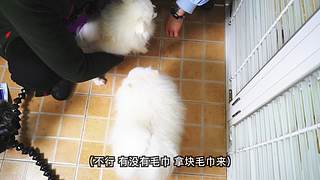 当下频道的当下世界