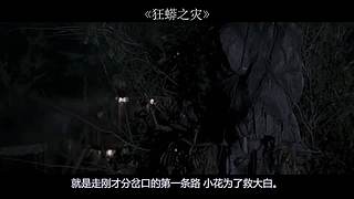 小马哥说电影的直播间