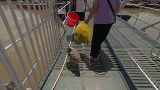 钓鱼人最后的挣扎