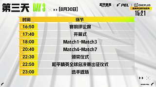 重播 2026和平精英PEL夏季赛