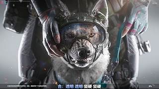 依旧丿字辈.努力做得更好