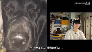 自虐级不要笑挑战