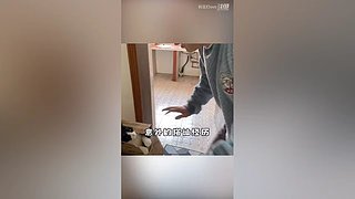 妈见打ovo的直播间