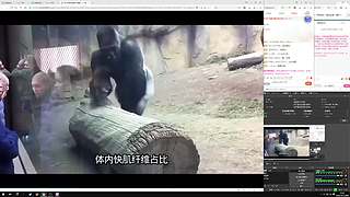 随便玩玩看看！！