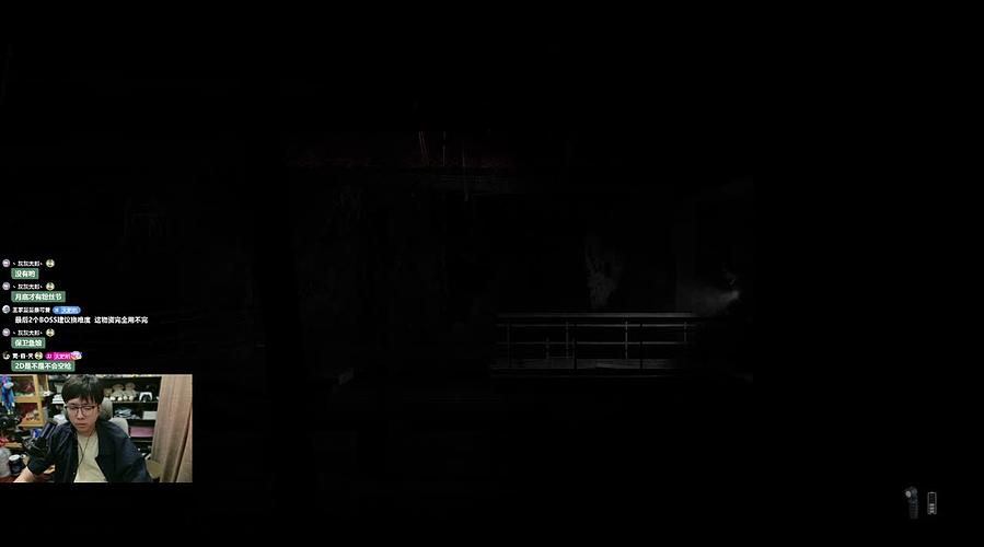 【2D寂静岭】直播中！！