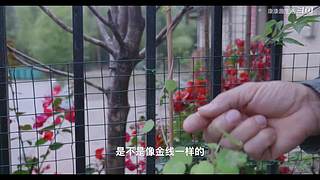 娱乐大于一切 10440627