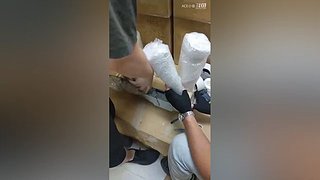 带你一起逛秋叶原