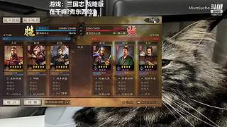 CS2熟悉熟悉官匹