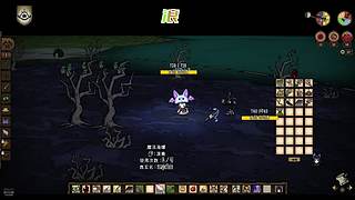 疯猪克劳斯犀牛中庭001