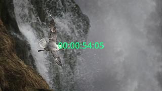 直播推流测试,来看看吧