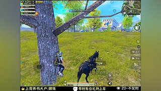 我在和平精英等你
