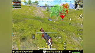 我在和平精英等你