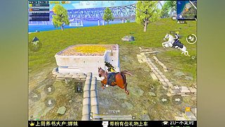 我在和平精英等你