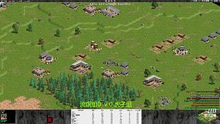 罗马复兴色军的直播间