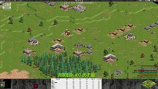 罗马复兴色军的直播间