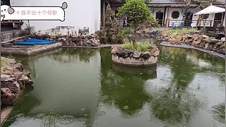 新驴酱小圆