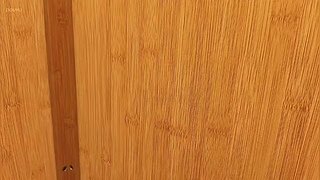小羽毛三团准备中！