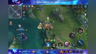 王者荣耀排位赛 12842683
