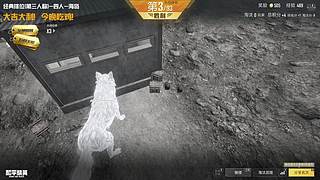 和平一姐好运姐