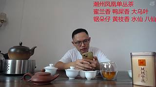 潮州凤凰单丛茶