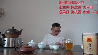 潮州凤凰单丛茶