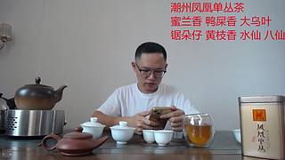 潮州凤凰单丛茶