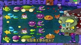 宝子们，开席了！