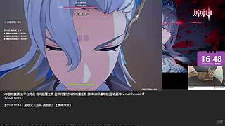 原神星铁绝区零日常