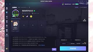 我玩的可能是假游戏T.T