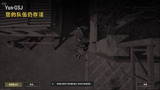一只鼠鼠的日常生活