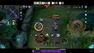 60-101星！国服王维诸葛亮