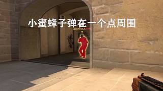 CSGO发福的炫仔