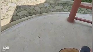 DNF搬砖吼吼